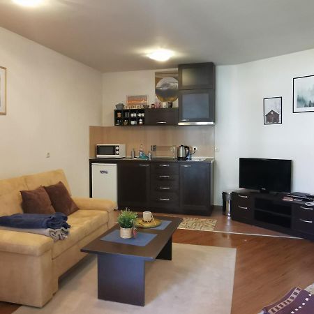 Sunny Studio Apartment - Few Steps From Gondola 班斯科 外观 照片