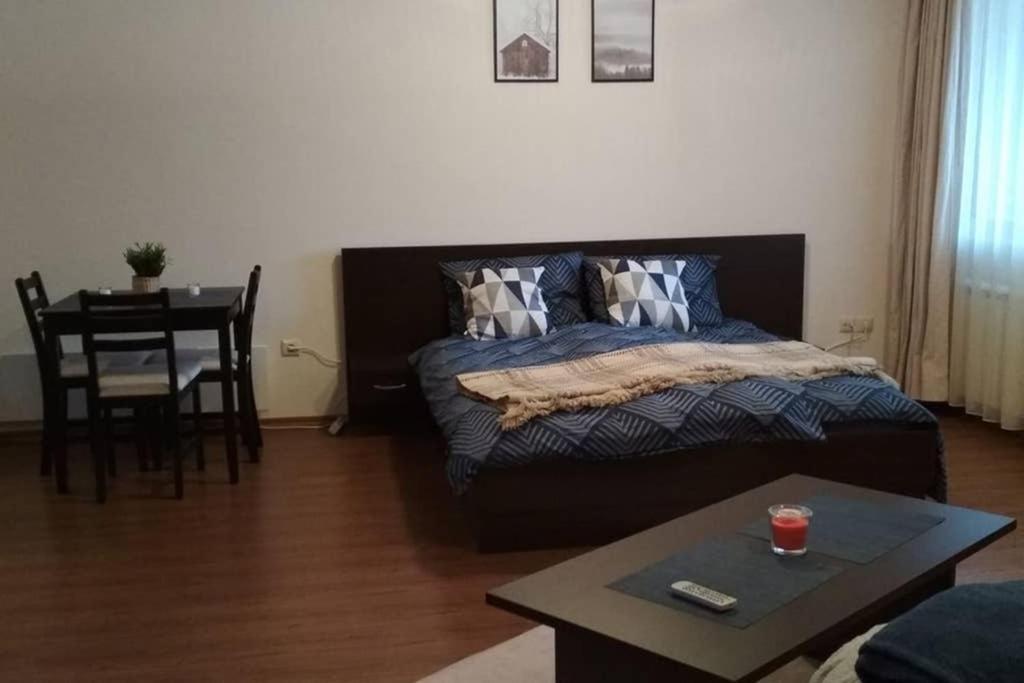 Sunny Studio Apartment - Few Steps From Gondola 班斯科 外观 照片