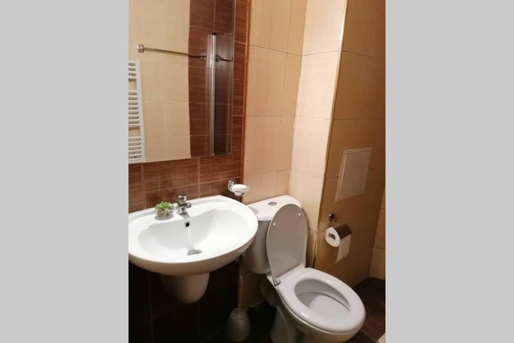 Sunny Studio Apartment - Few Steps From Gondola 班斯科 外观 照片
