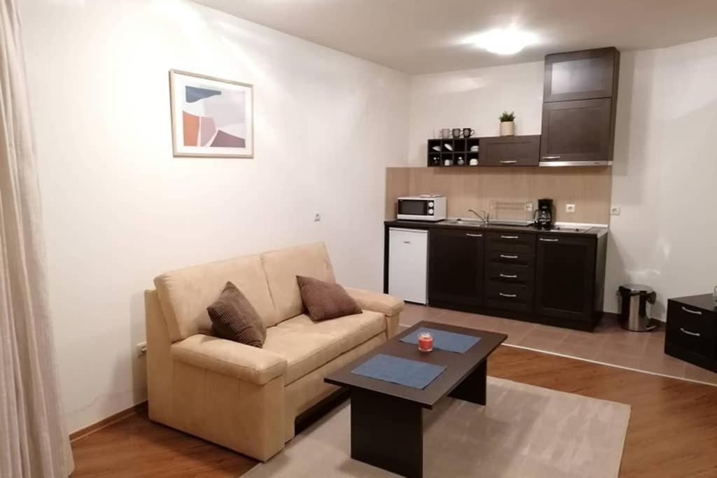 Sunny Studio Apartment - Few Steps From Gondola 班斯科 外观 照片