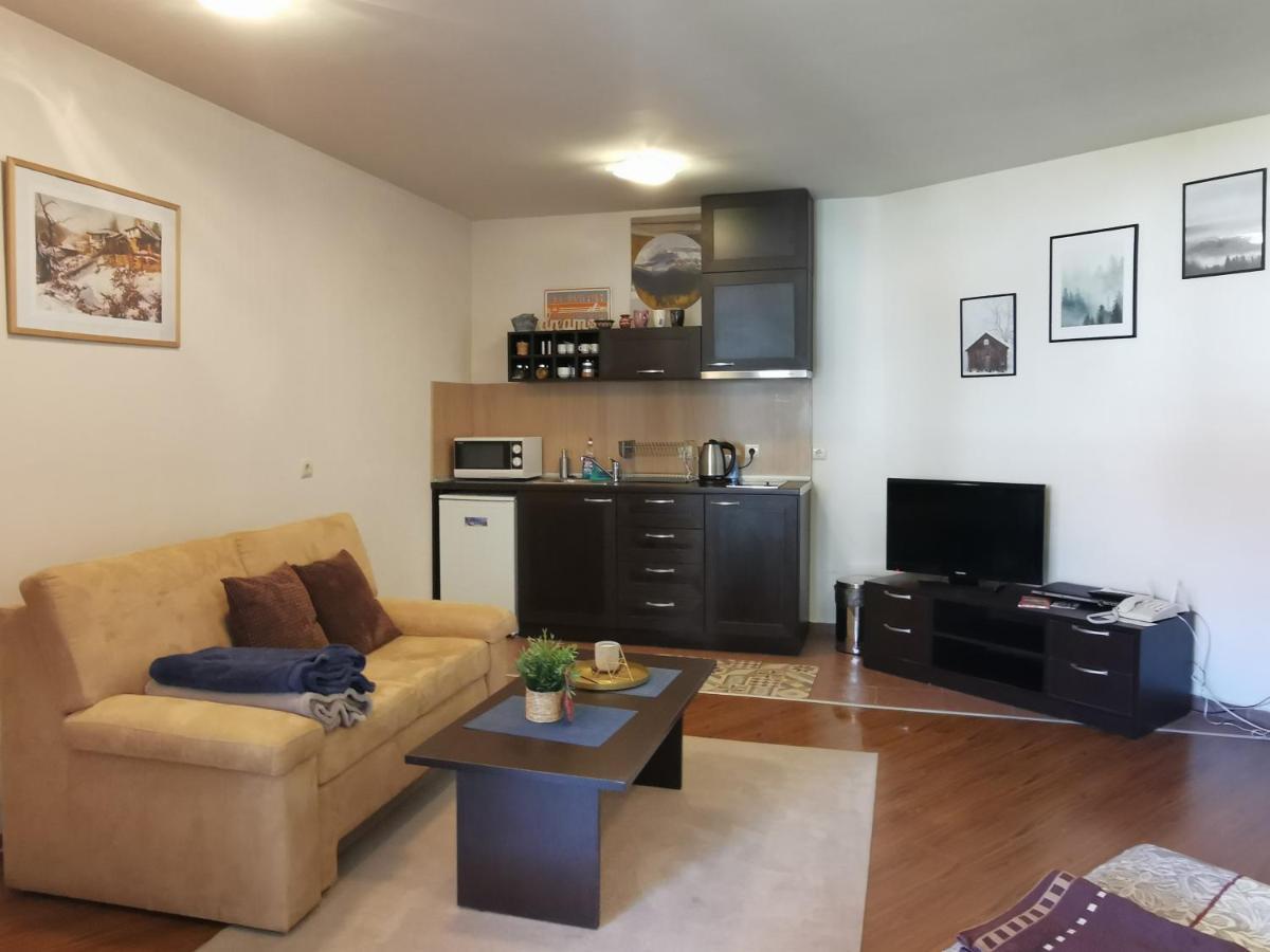 Sunny Studio Apartment - Few Steps From Gondola 班斯科 外观 照片