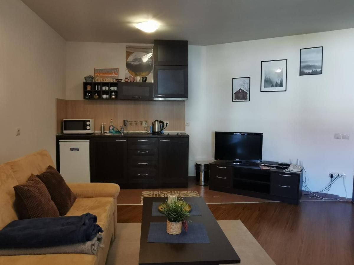 Sunny Studio Apartment - Few Steps From Gondola 班斯科 外观 照片