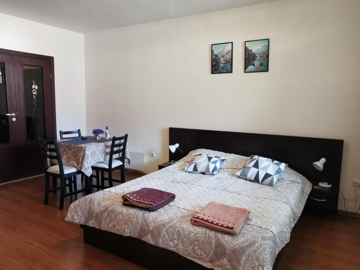 Sunny Studio Apartment - Few Steps From Gondola 班斯科 外观 照片
