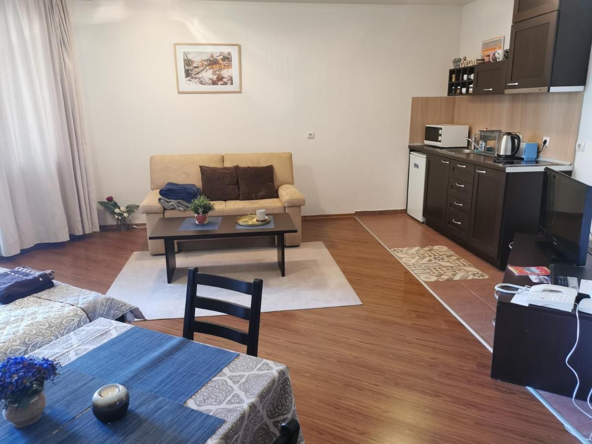 Sunny Studio Apartment - Few Steps From Gondola 班斯科 外观 照片