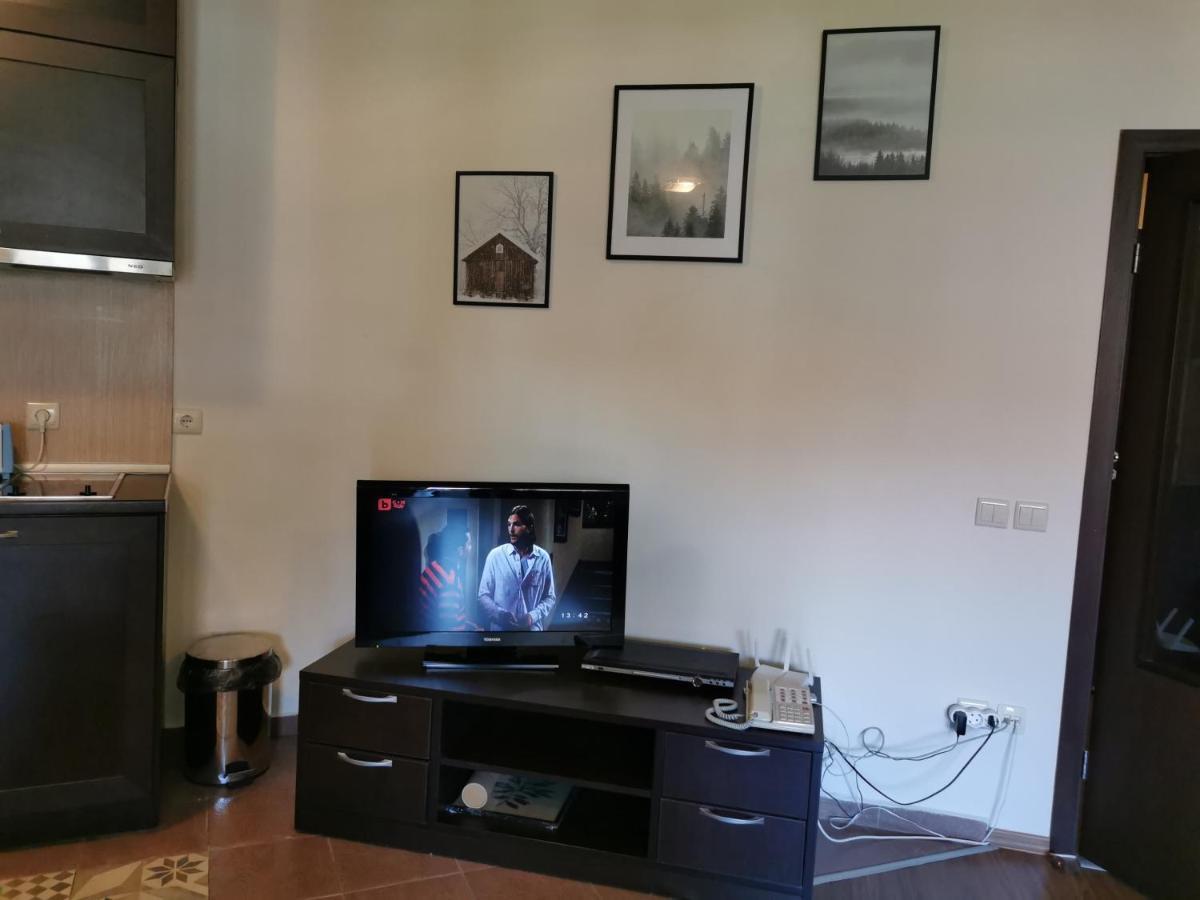 Sunny Studio Apartment - Few Steps From Gondola 班斯科 外观 照片