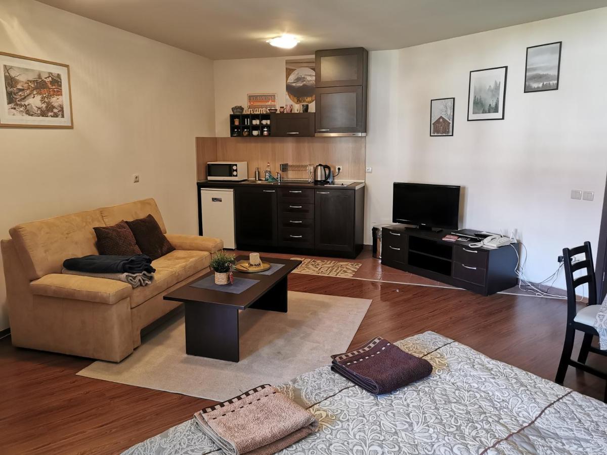 Sunny Studio Apartment - Few Steps From Gondola 班斯科 外观 照片